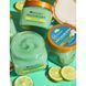 Скраб для тіла - Tree Hut Coconut Lime Sugar Scrub 105882 фото 4